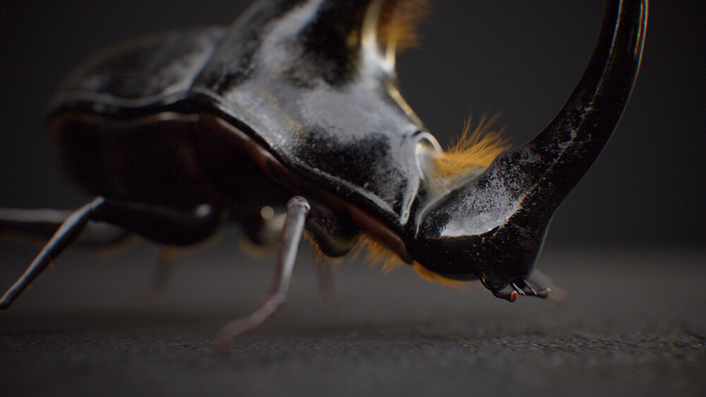 diego-viegas-tbrender-018