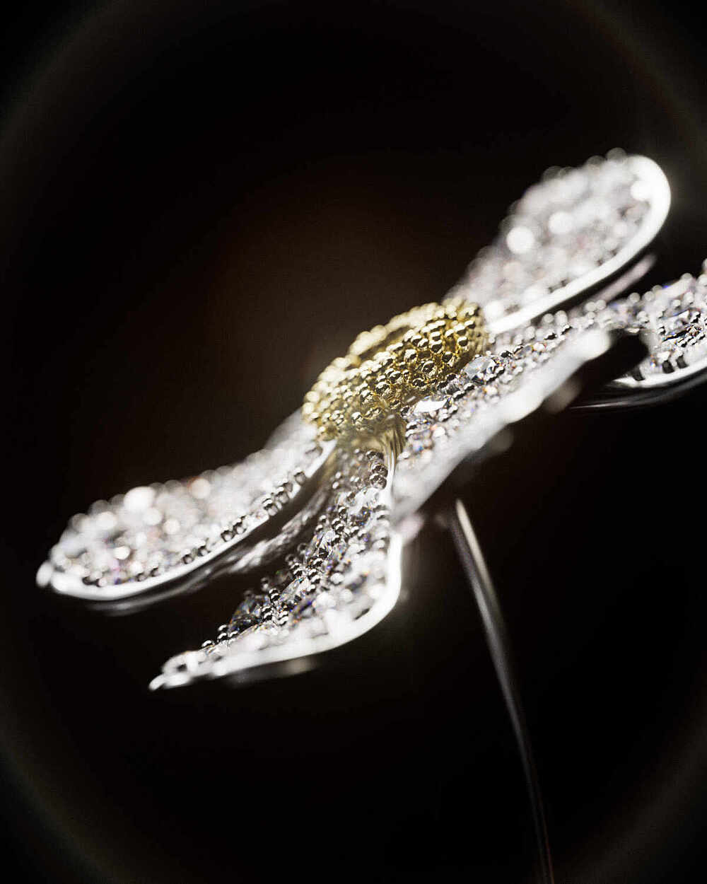 05_Flower_004