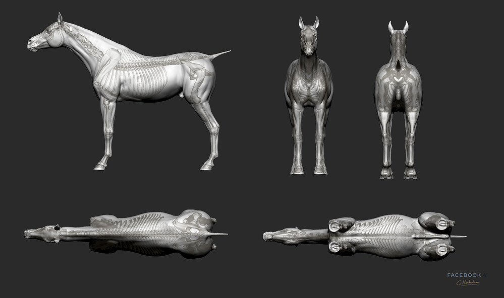 gael-kerchenbaum-06-horse-002-render