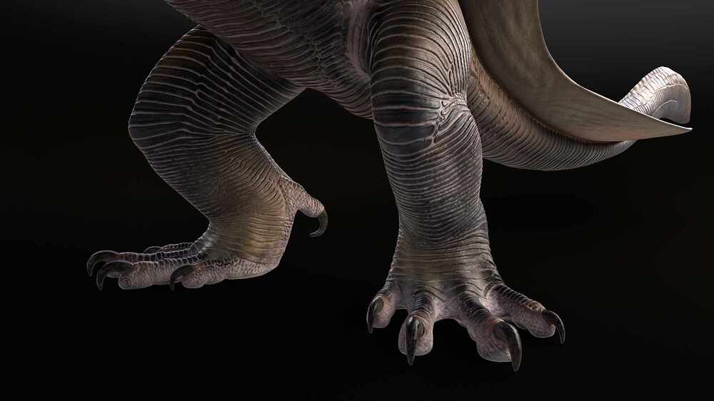CCD_legs_001_001