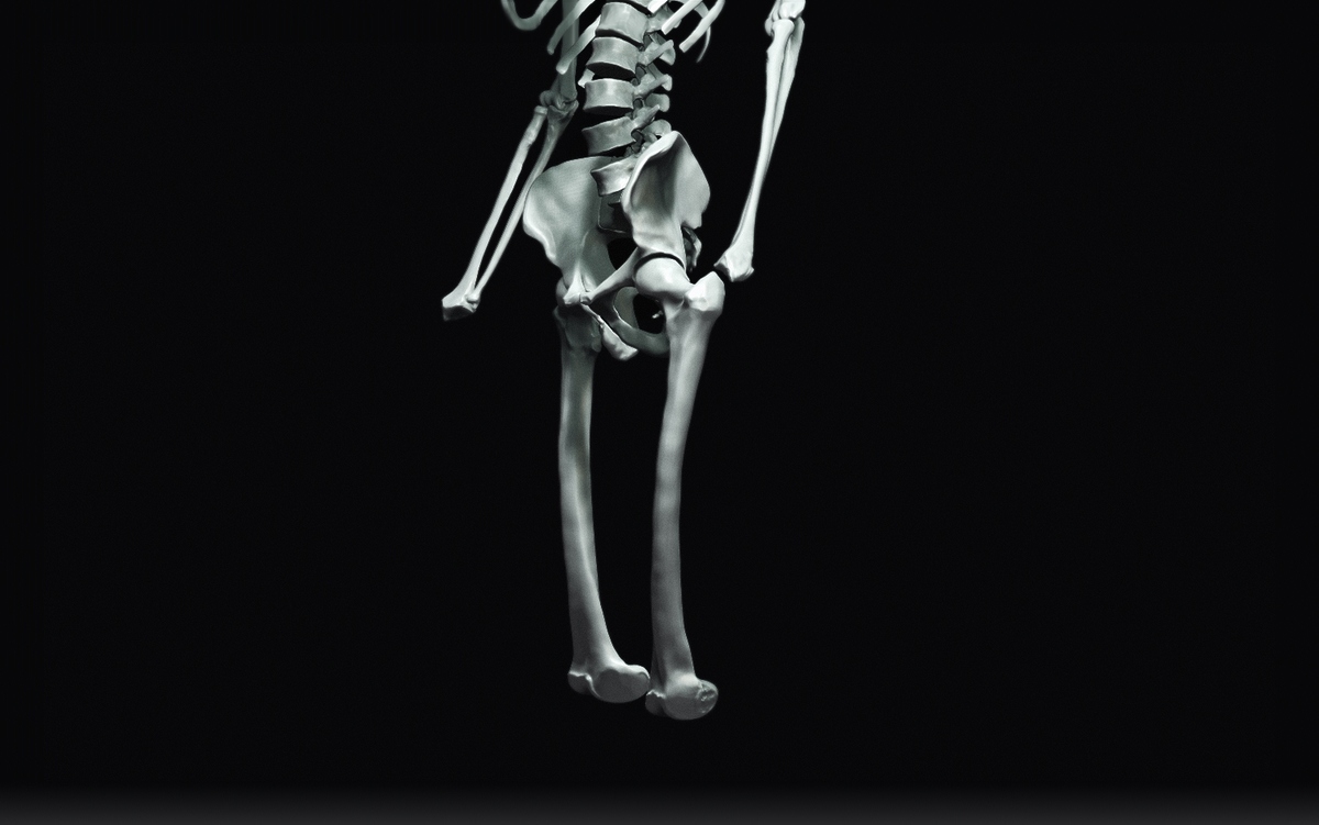 FemurFullbody1