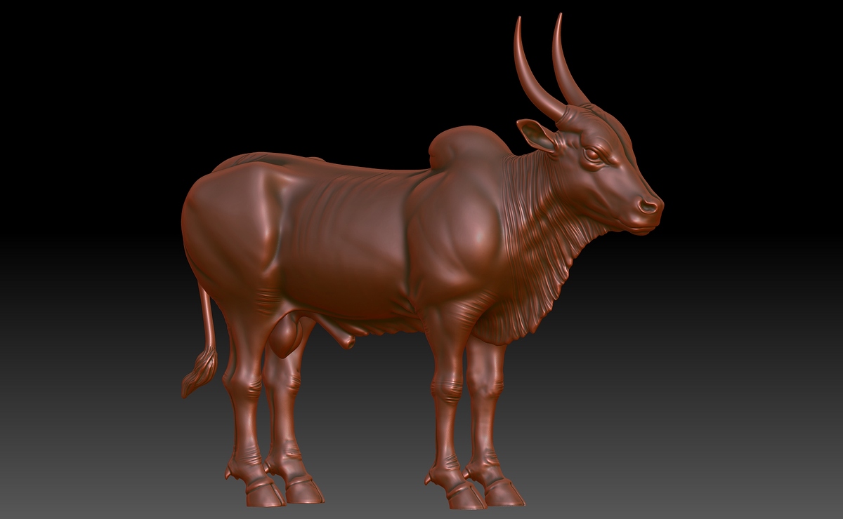 BPR_Bull_02