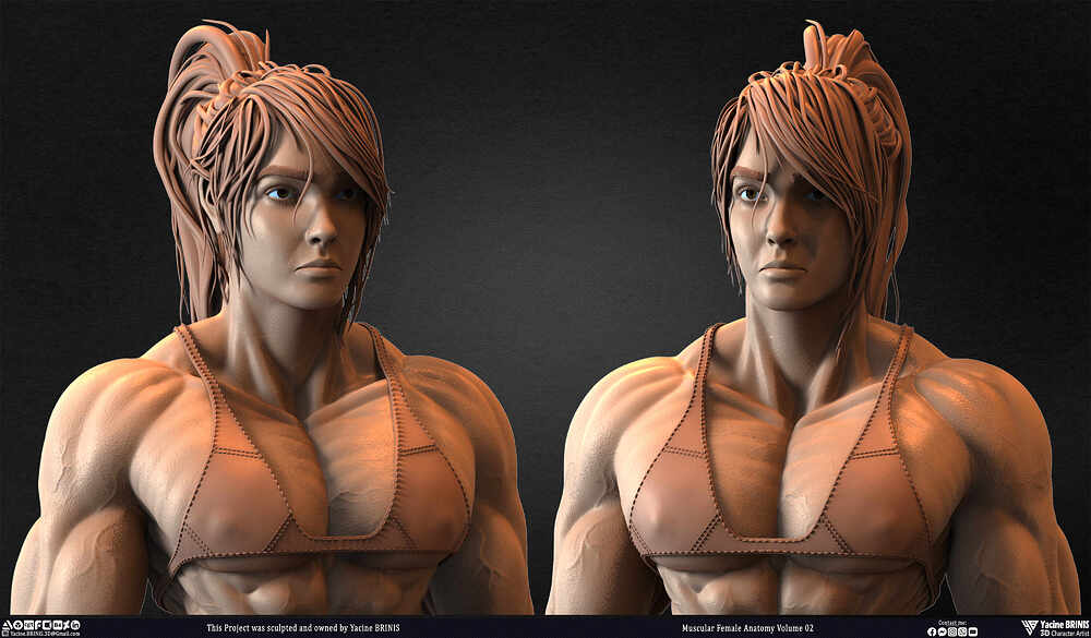 Muscular Female anatomy Volume 02 sculpted by Yacine BRINIS 019