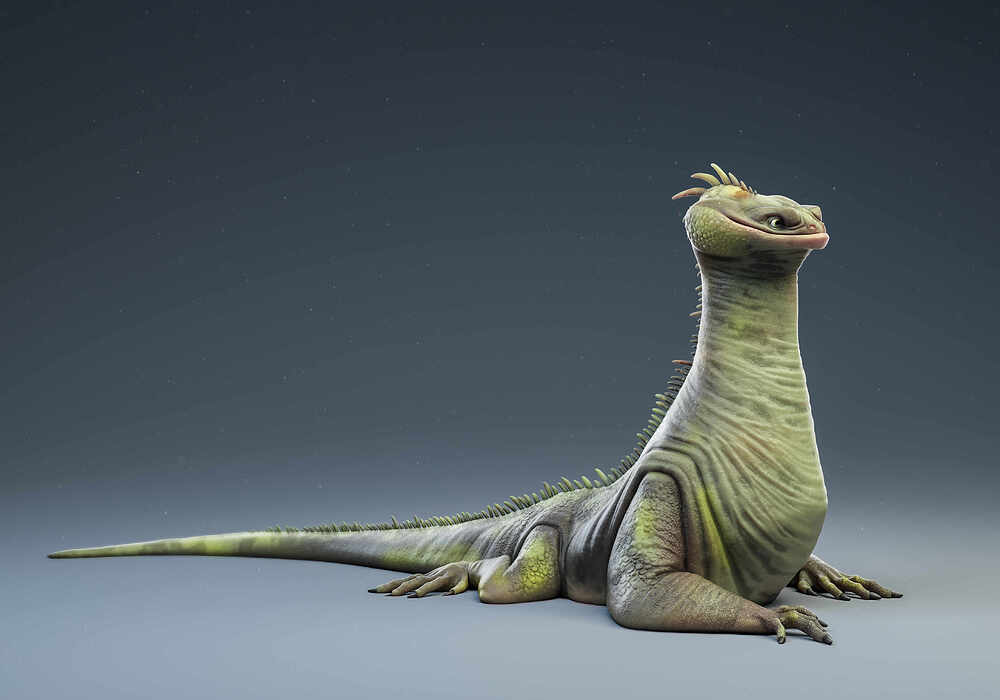IGUaaN_02