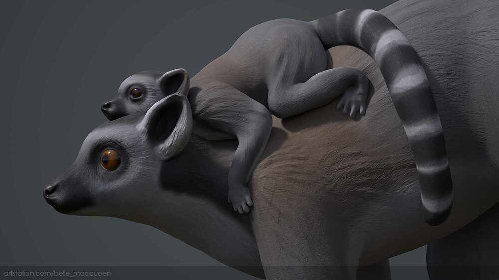 Lemur_1_Belle_Macqueen