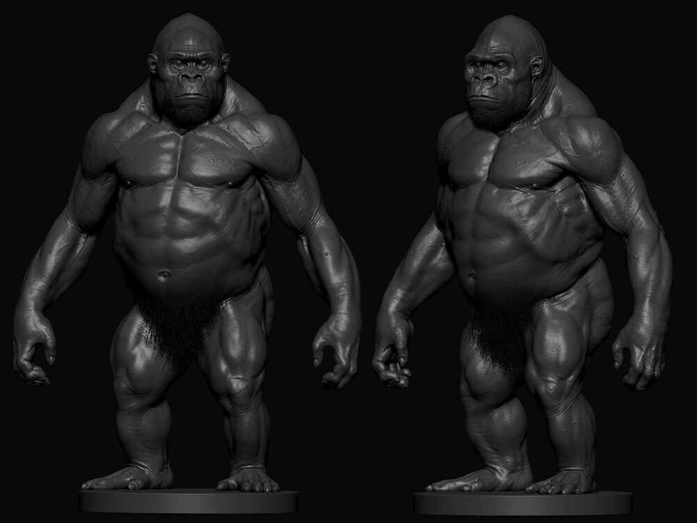 Ape Anatomy Practise 05