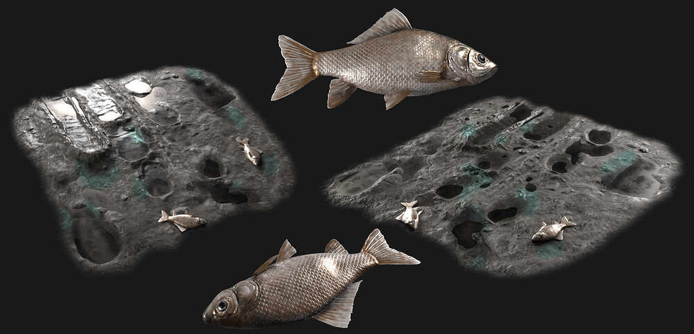 FishMud