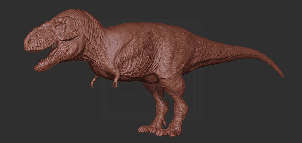 ZBrush Document2