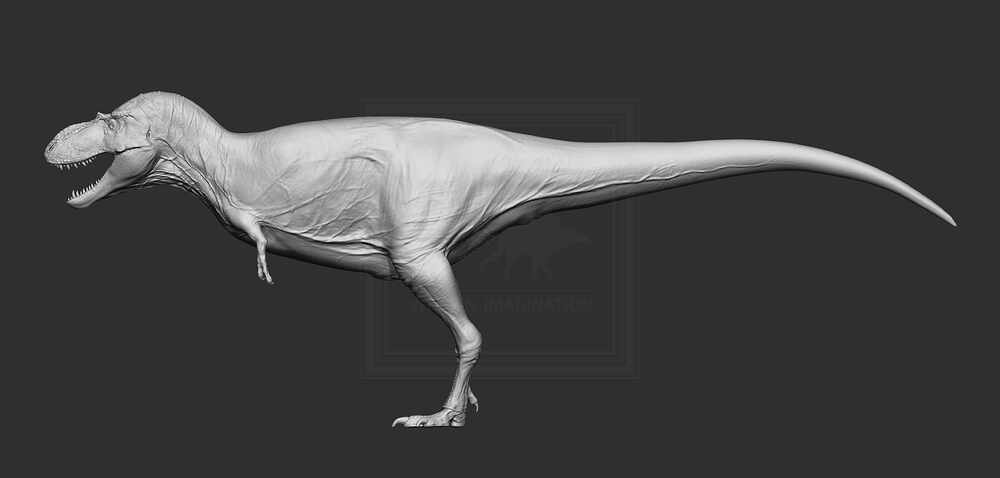 BPR_Composite2