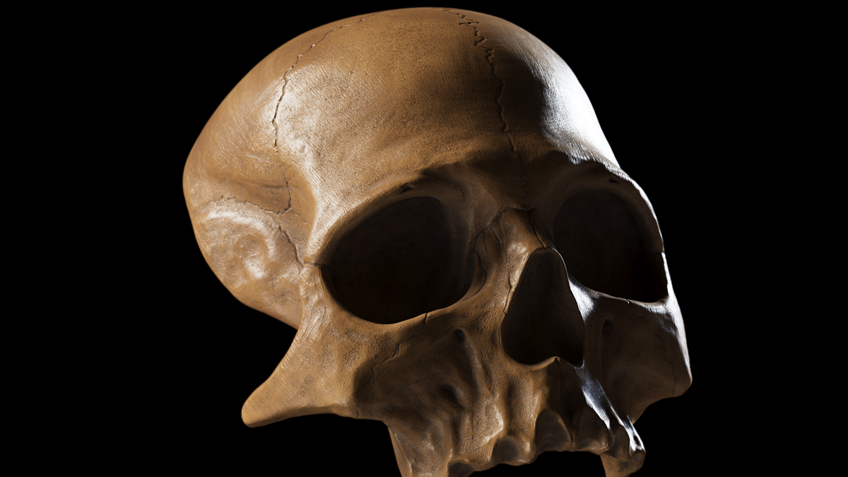 skull
