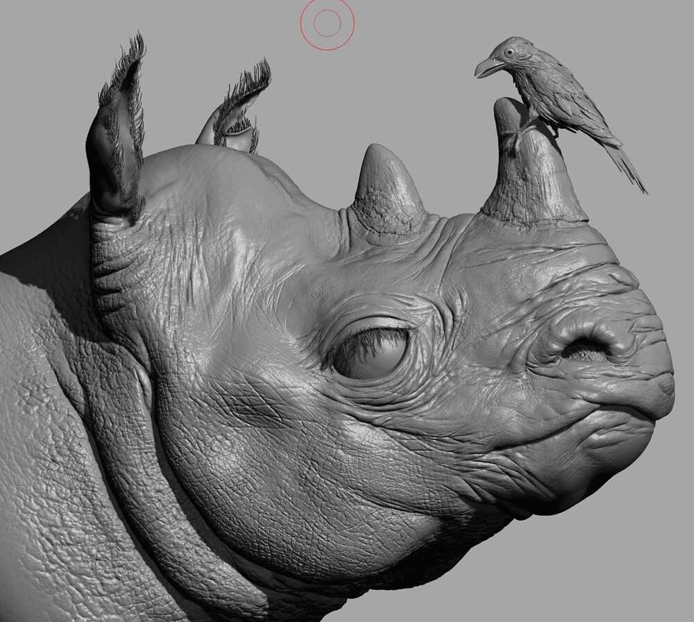 zbrush.PNG