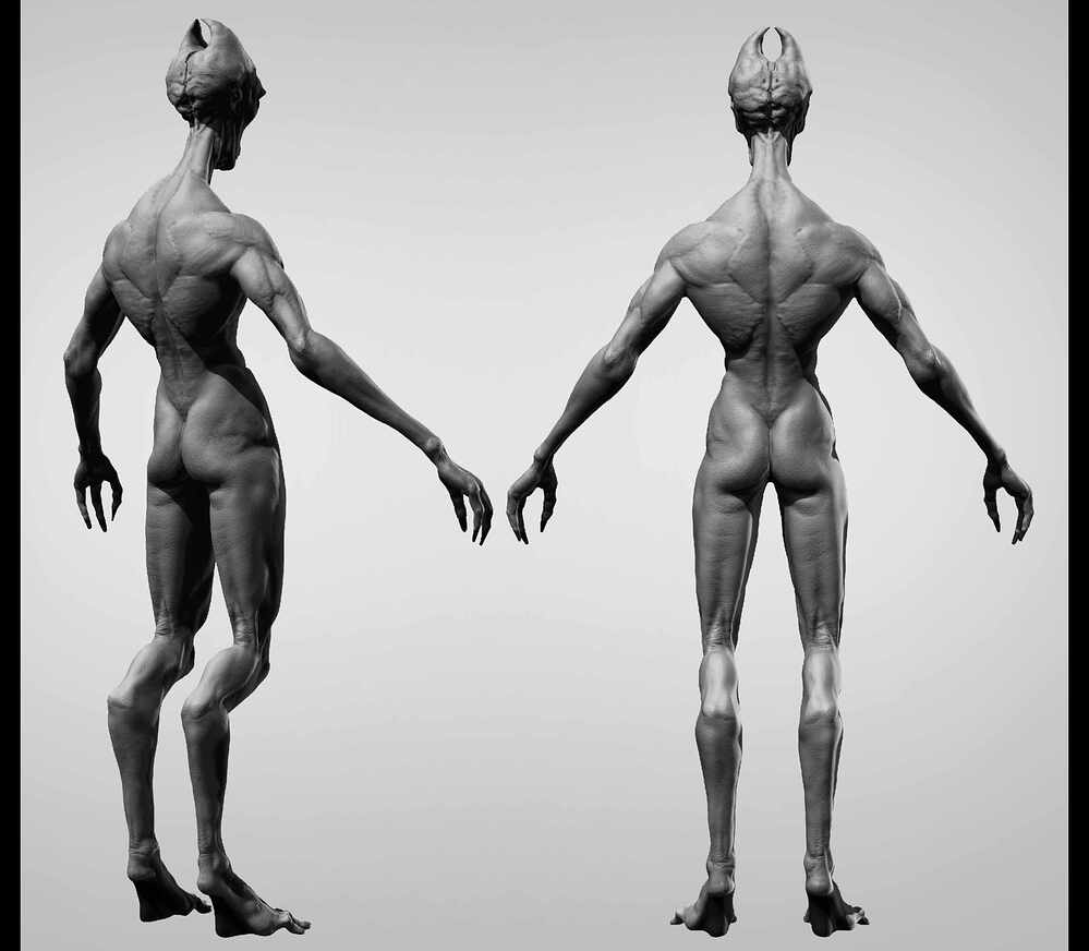 Base Render _10
