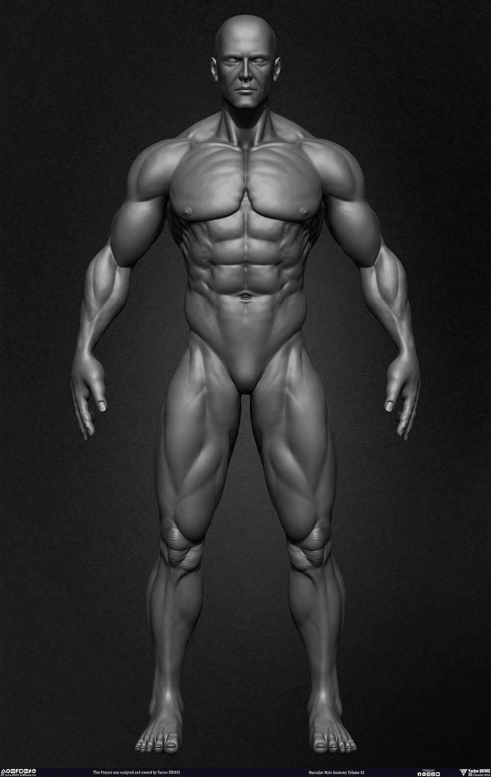 Muscular Male Anatomy Volume 2 3D Character sculpted by Yacine BRINIS 012