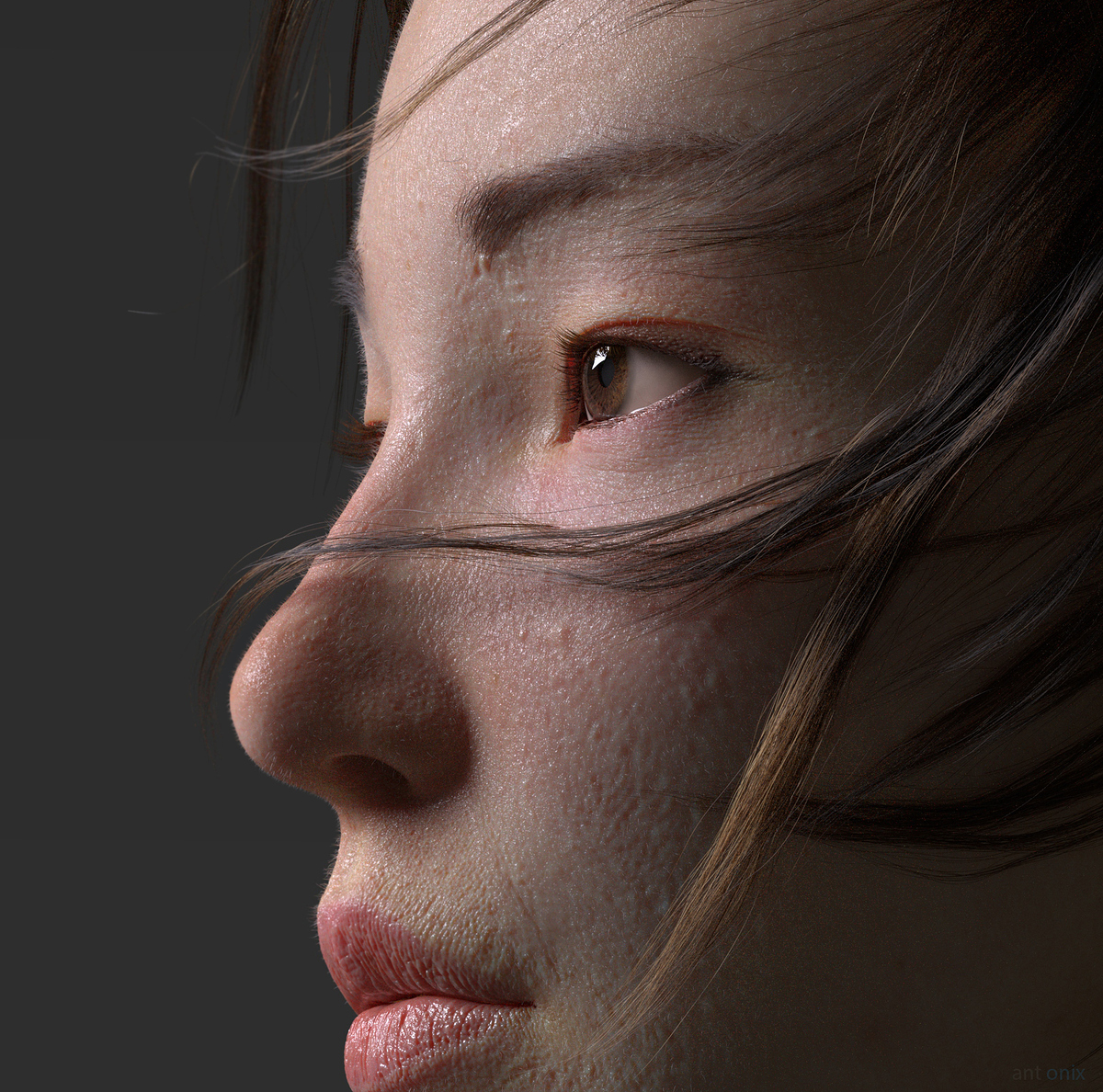 ant_onix_render_6_