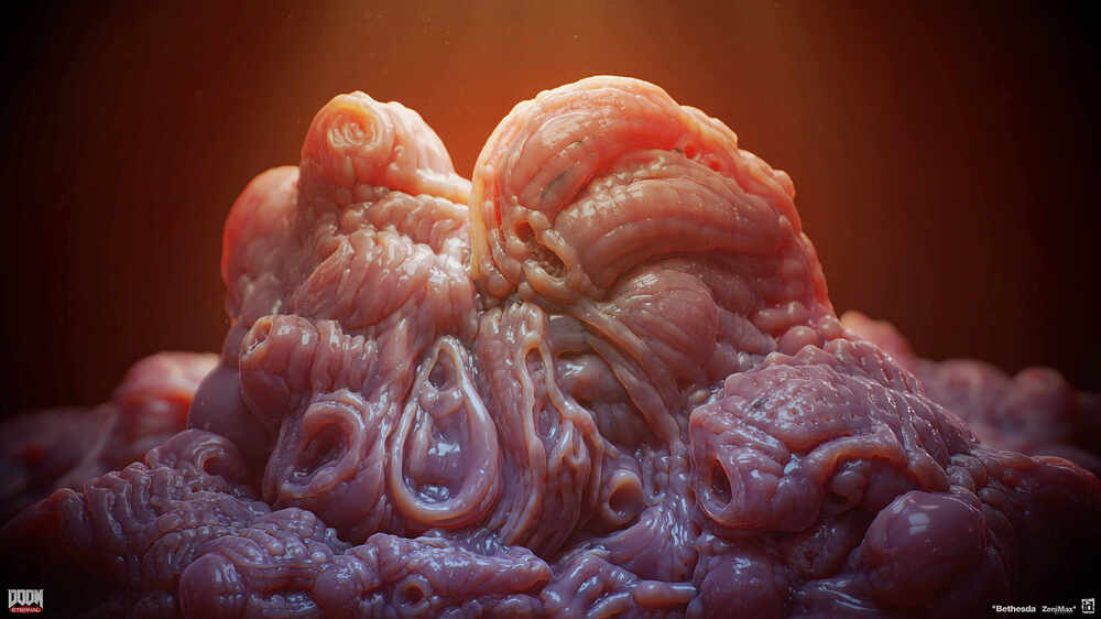 organs_02