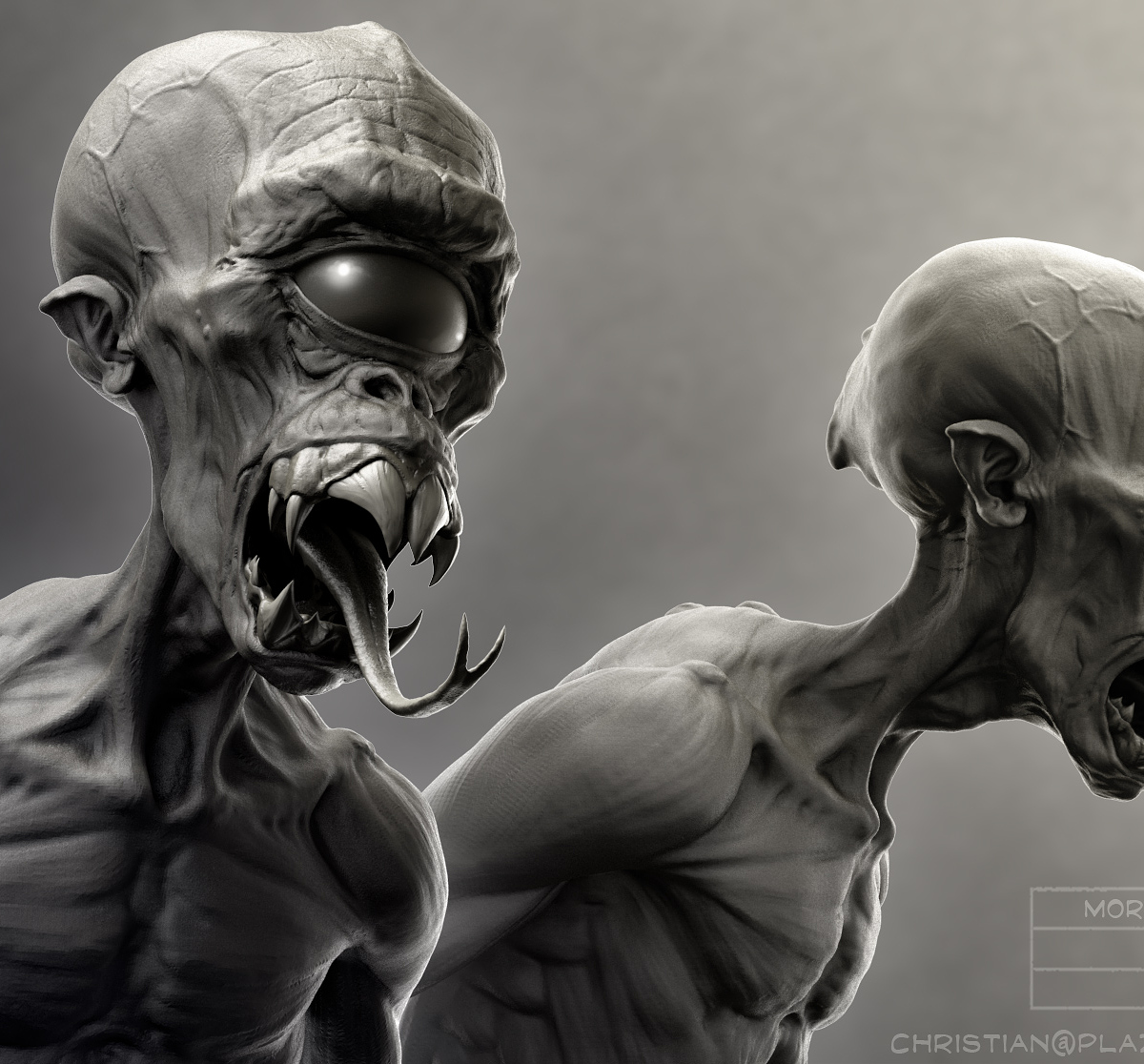 Morlochead_study_v001.jpg