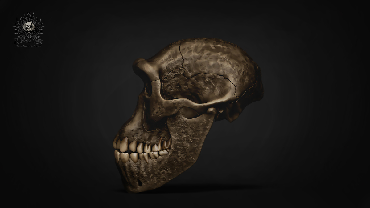 render 3