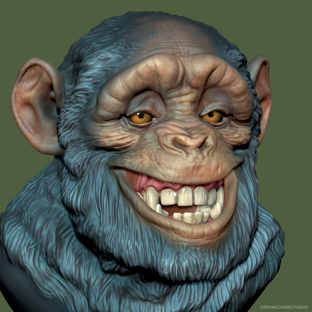 chimp_10