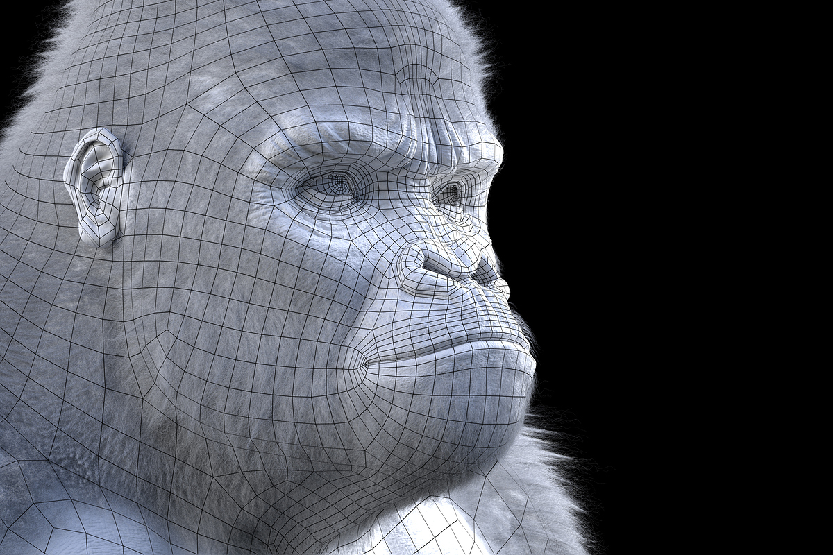 Wireframe