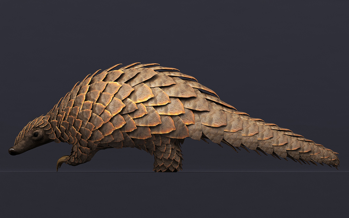 06_Pango