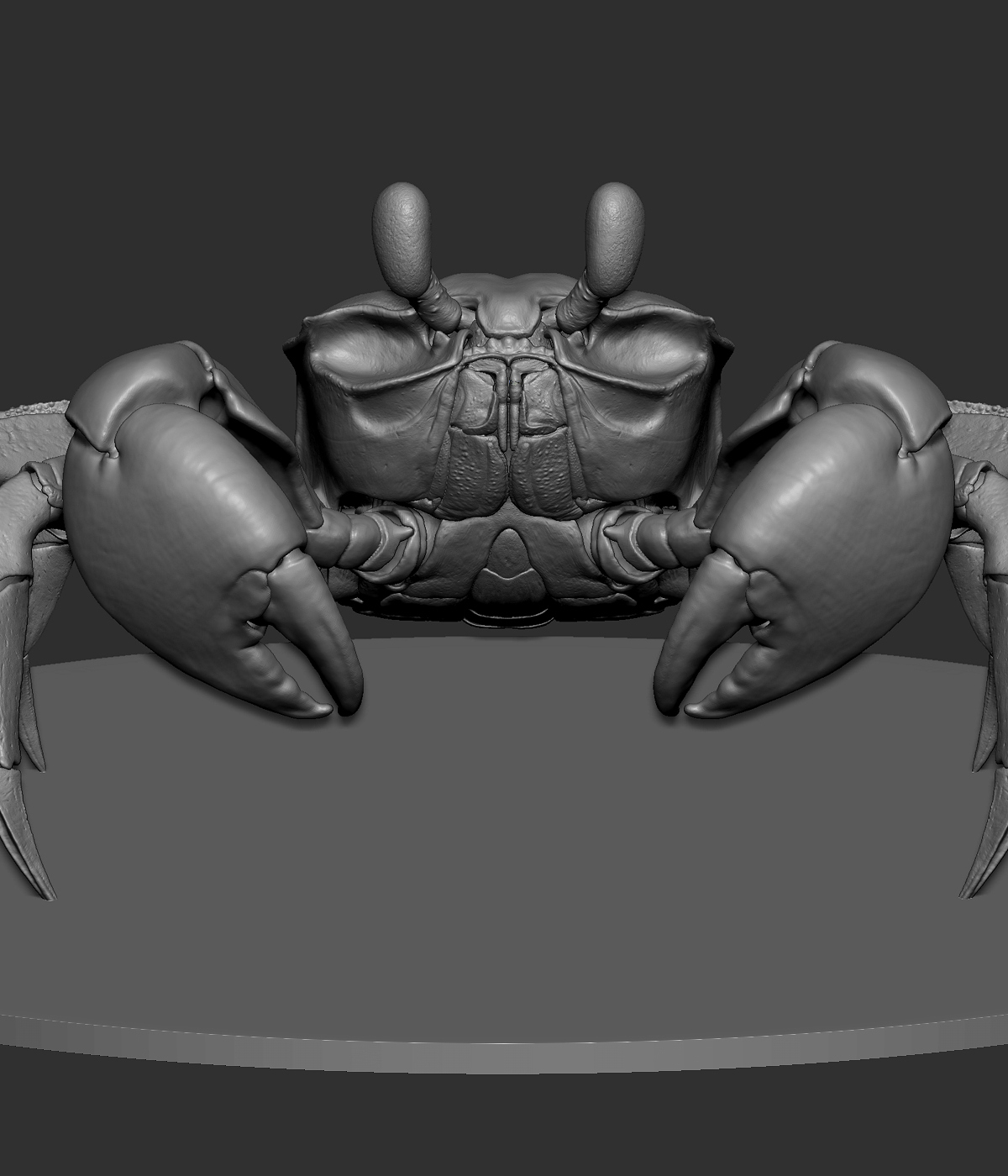 GhostCrab_v001_Blog_Img_002.jpg