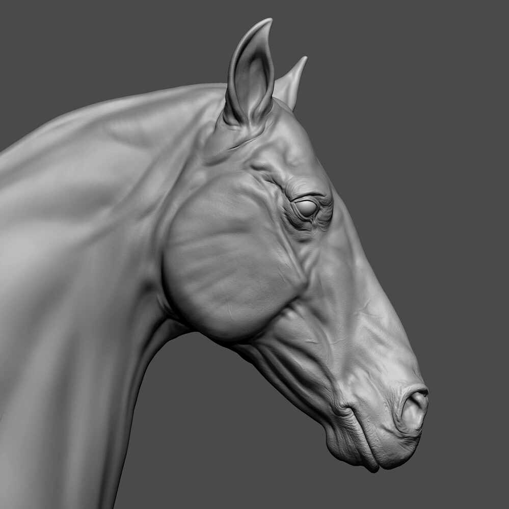 horse_Zbrush_By_Khalixti