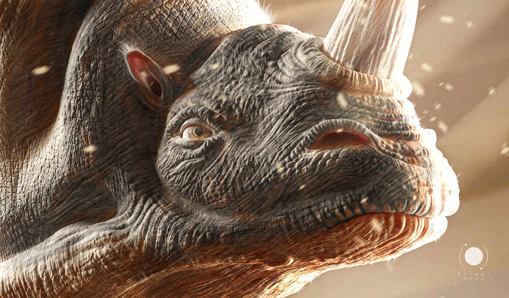 Rinosauros_PiraniArts