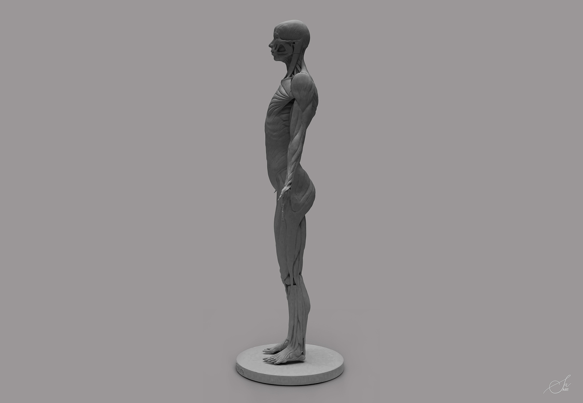 6 w