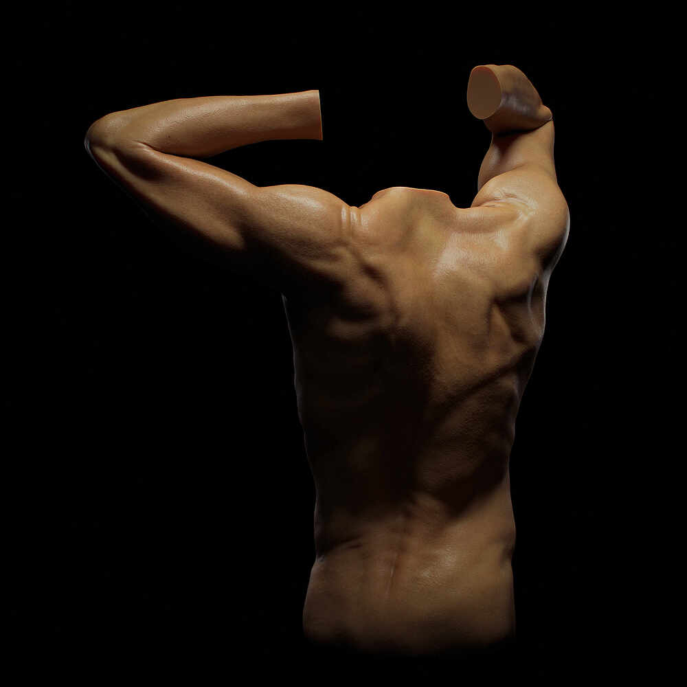 FinalRender_Back_Square