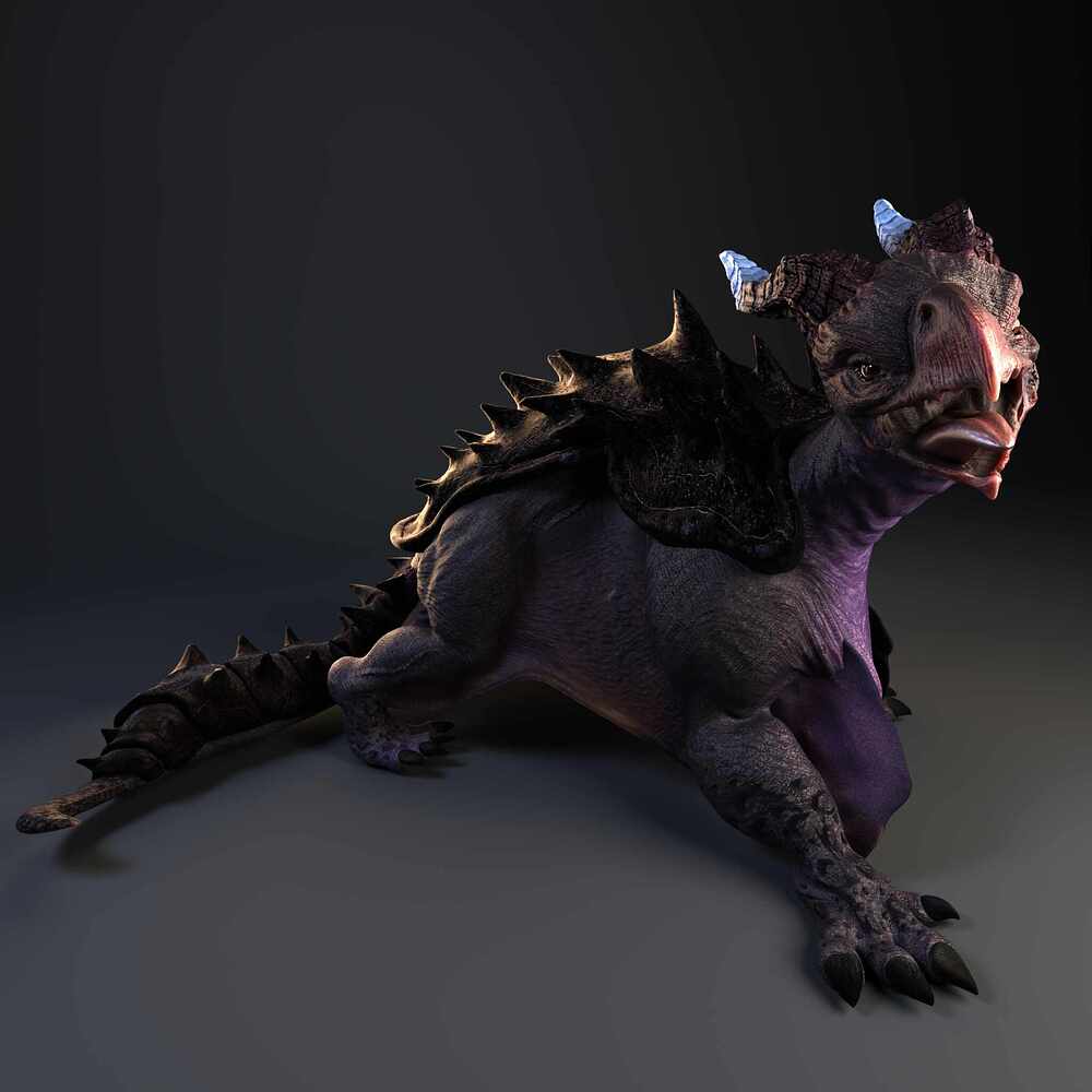 images_4