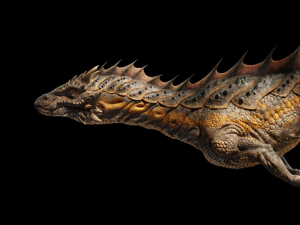renderSide_P1