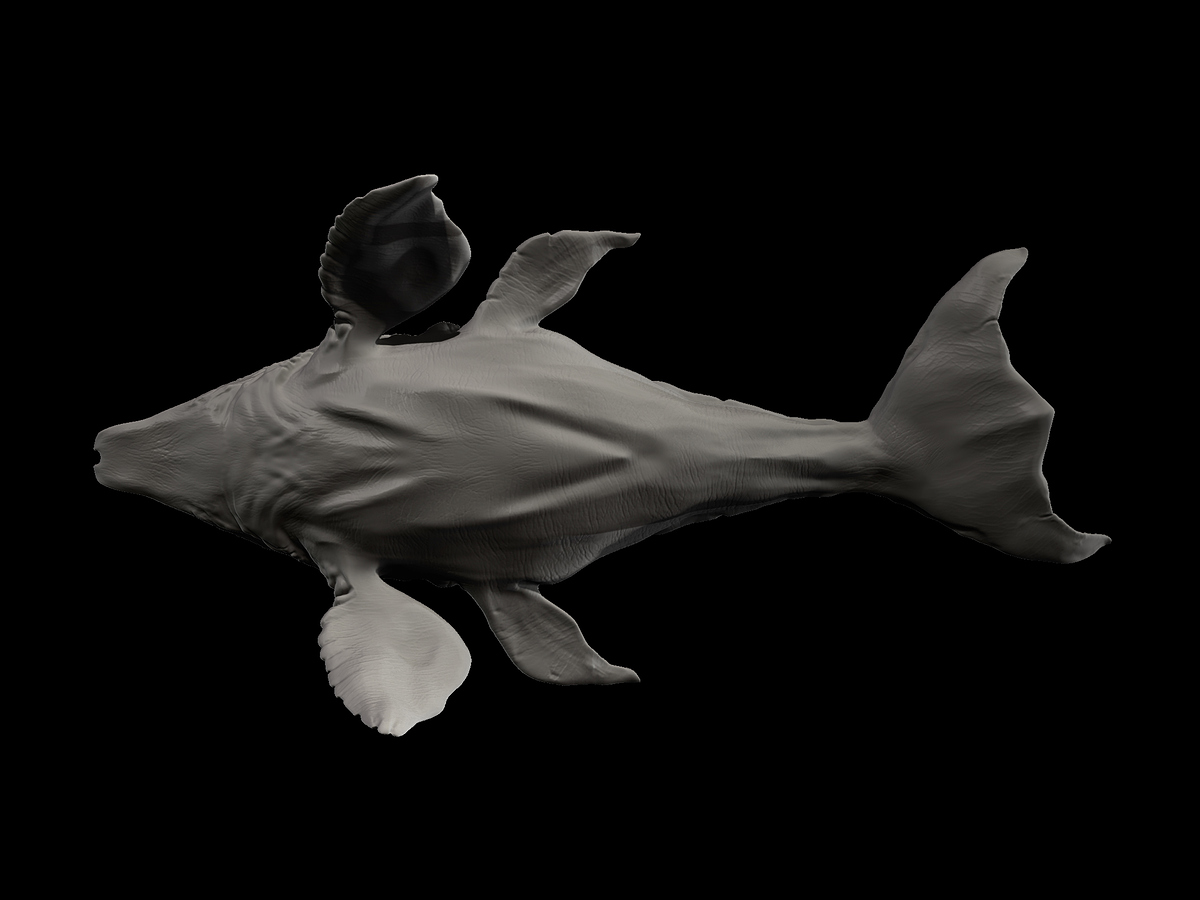 Base Render #15537