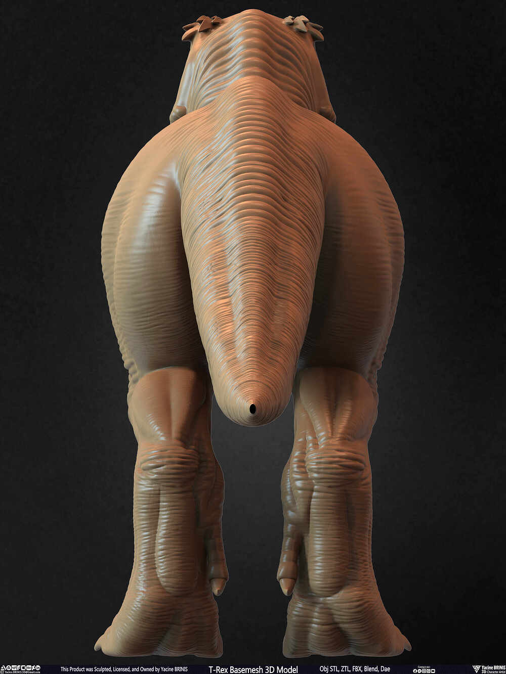 T-Rex Basemesh 3D Model (Tyrannosaurus Rex) Sculpted By Yacine BRINIS Set 010