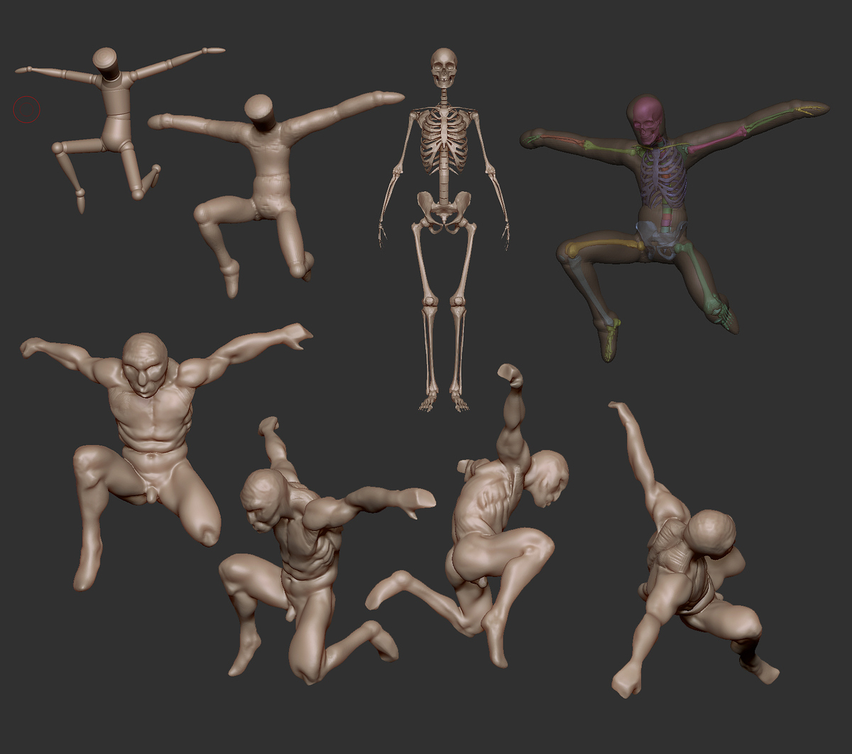 5day_skelleton