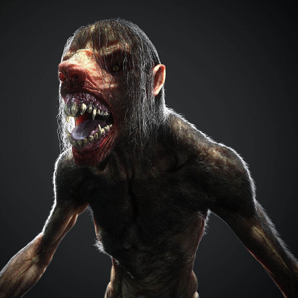 camera10_topDownLight