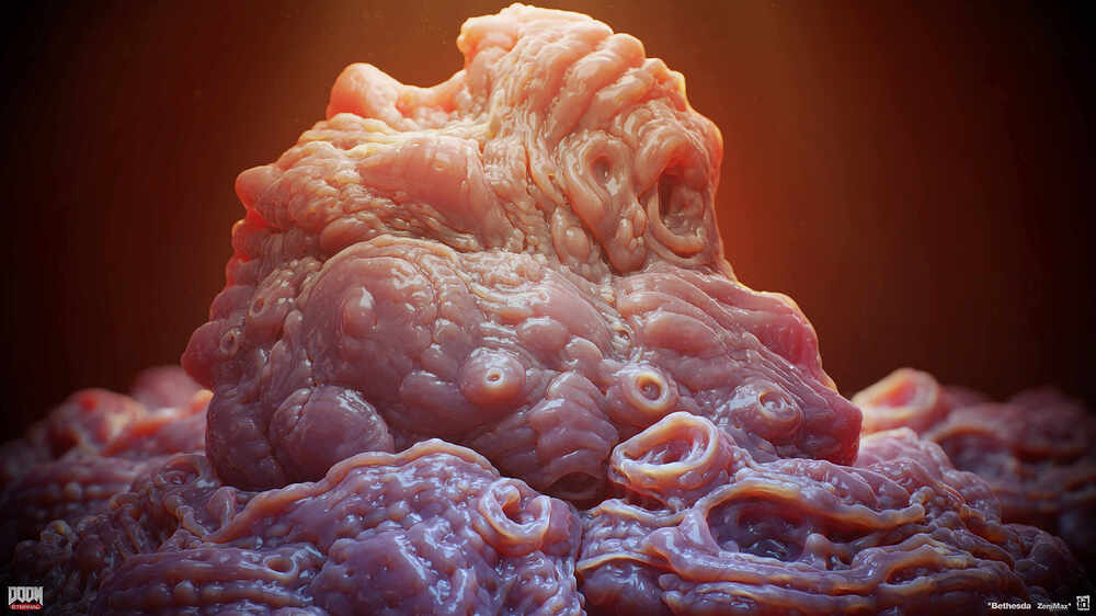 organs_04
