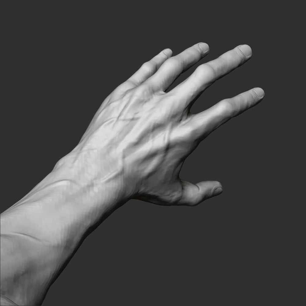 Arms_n_hands_8