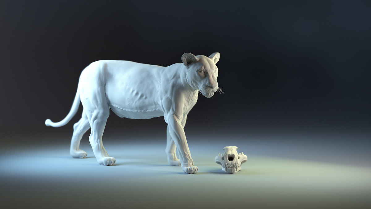 %20Lion%20standing%201
