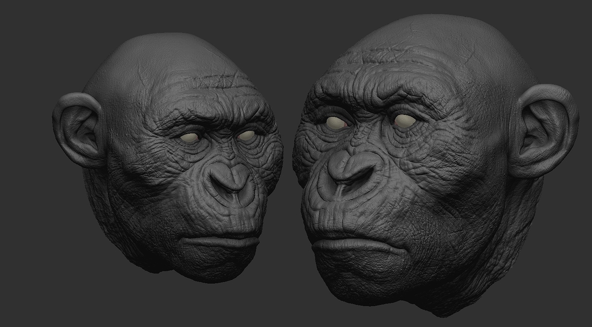 AustralopithecusFinal-10