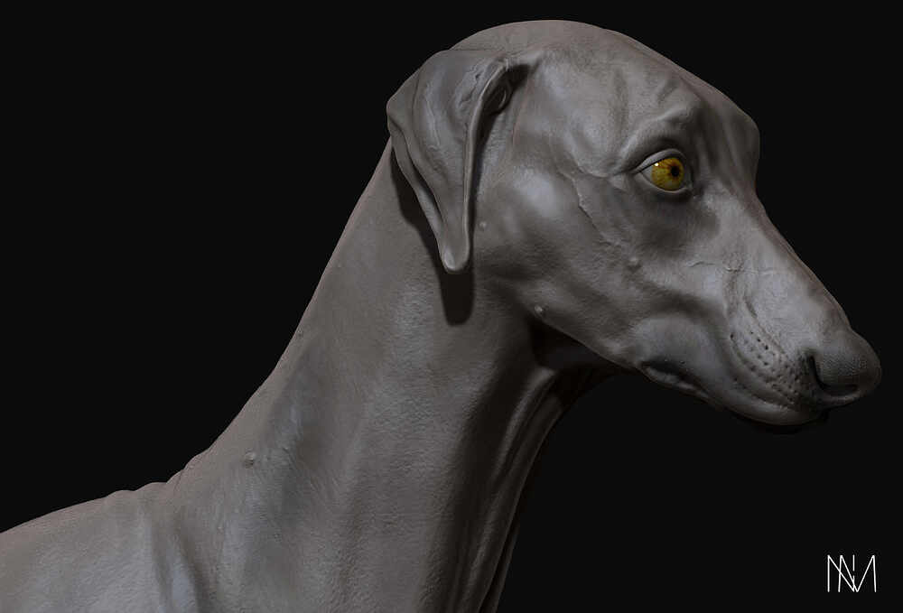 D_Render_06