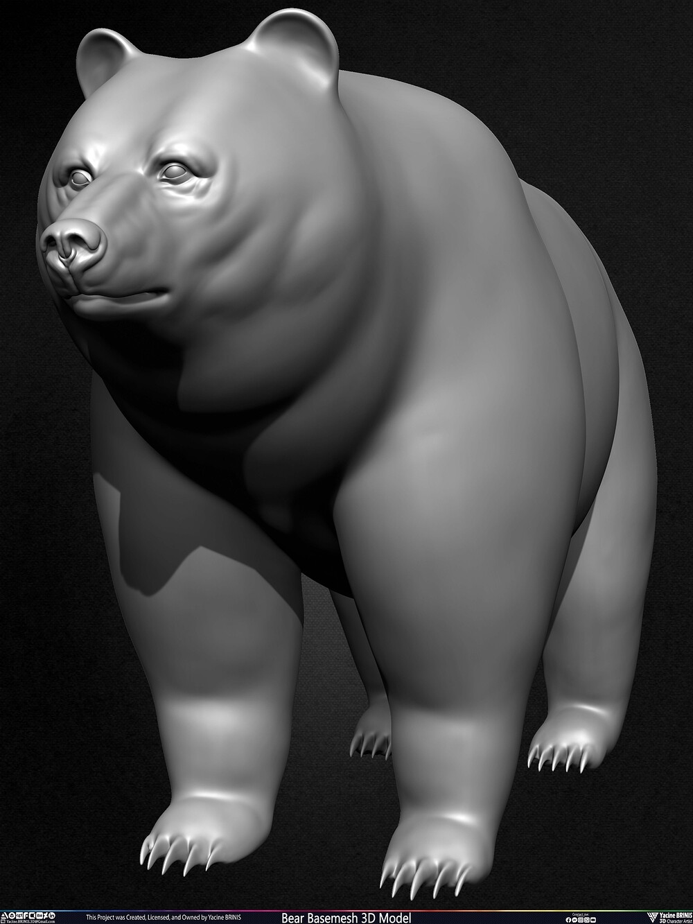 Bear Basemesh 3D Model Sculpted by Yacine BRINIS Set 013
