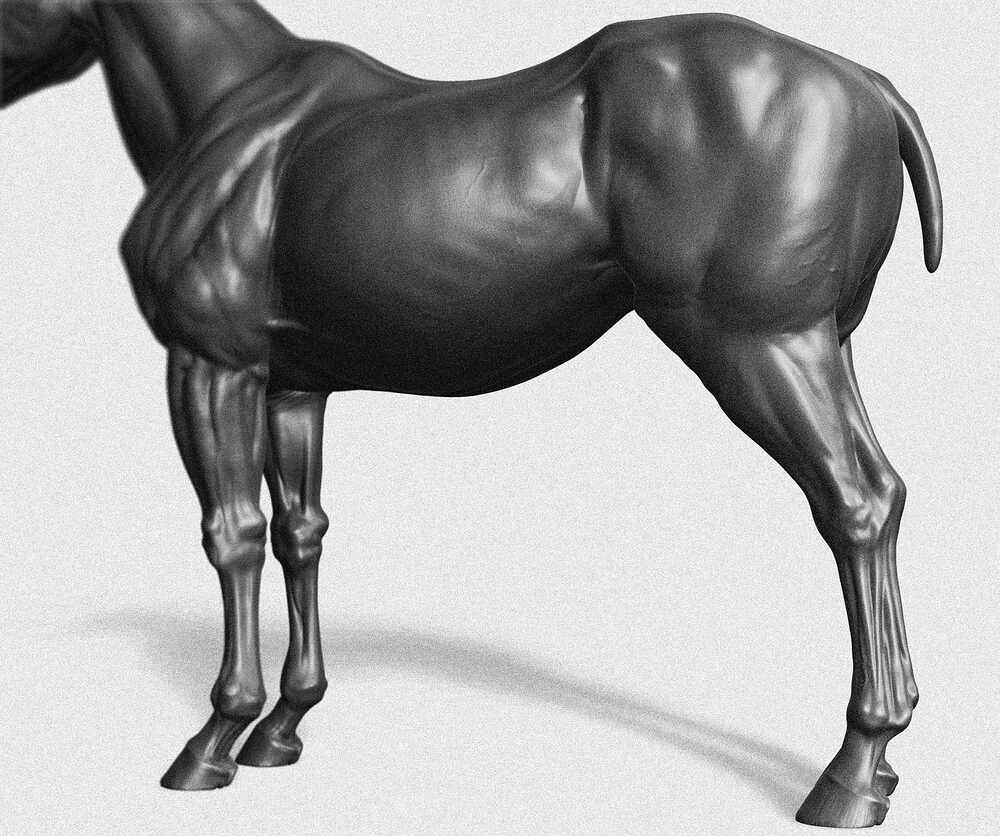 Horse_4