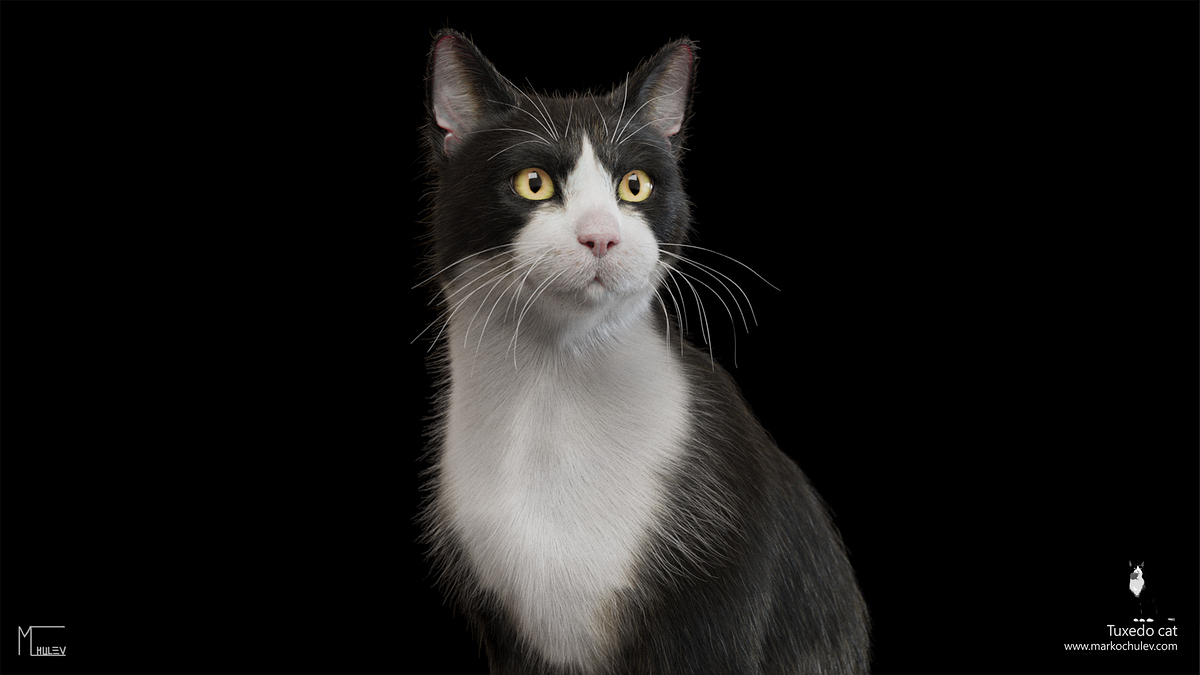 TuxedoCat.v1.5