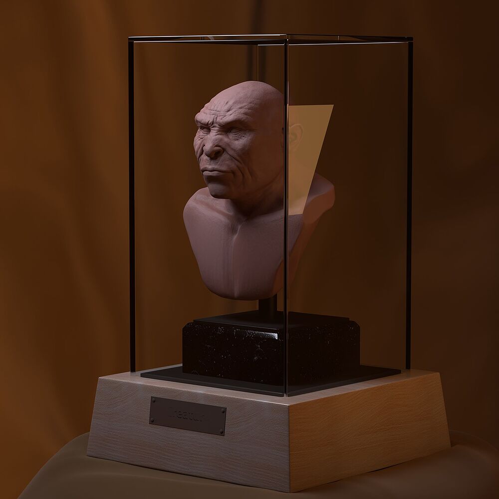 img003