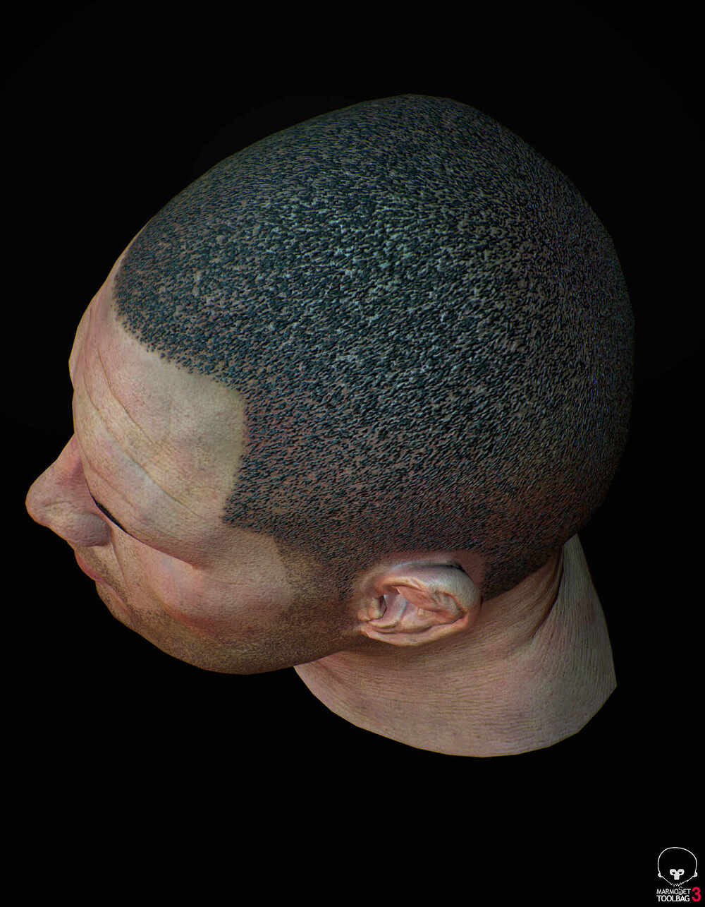 C_V_Head_top