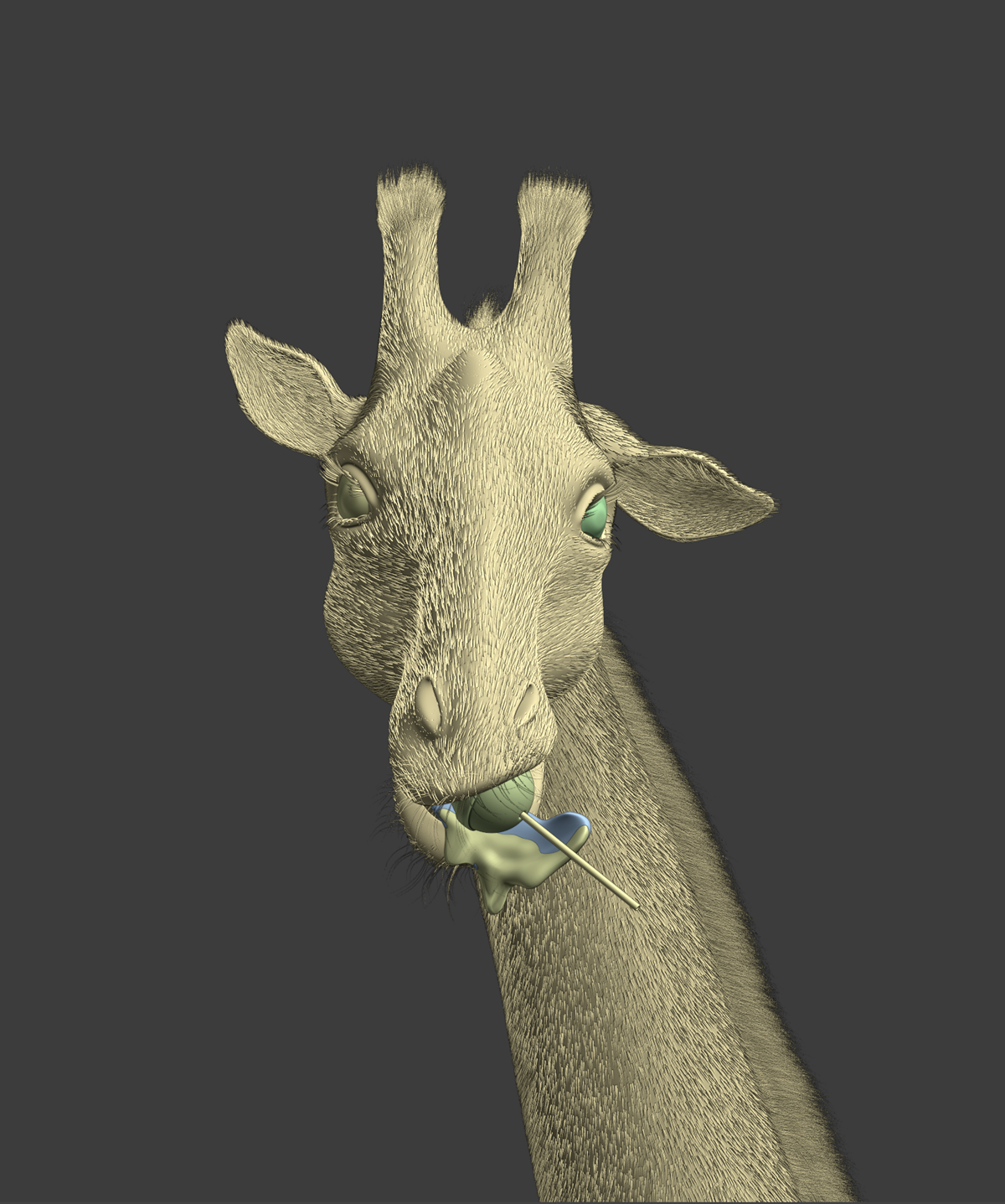 Viewport
