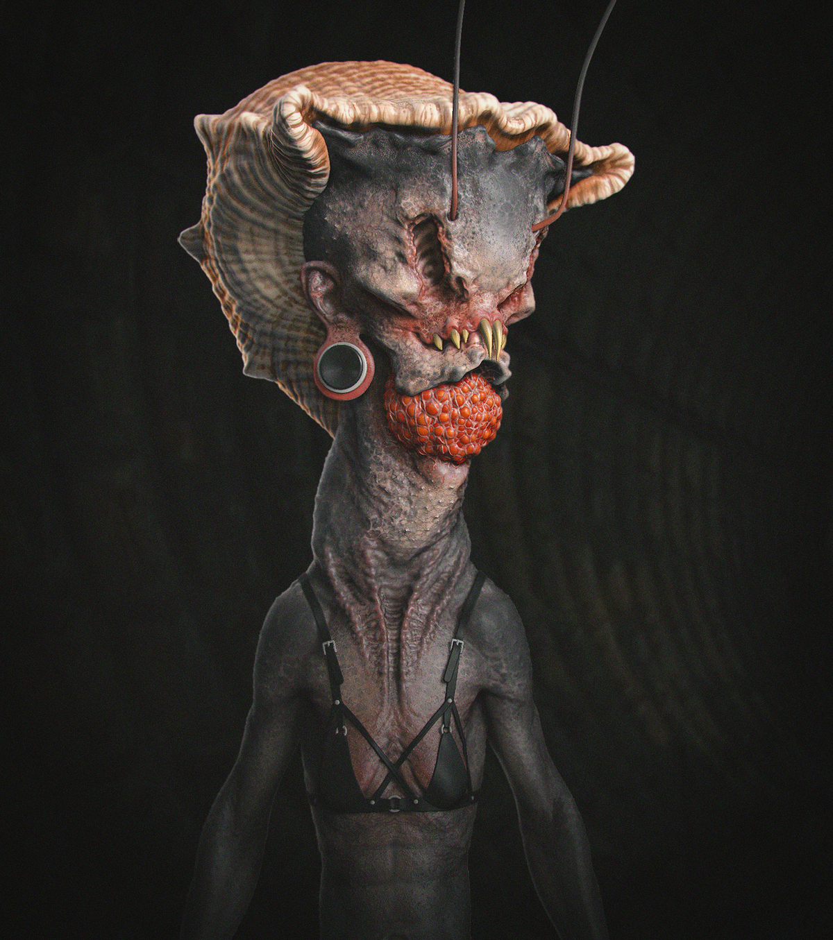 Lobster02