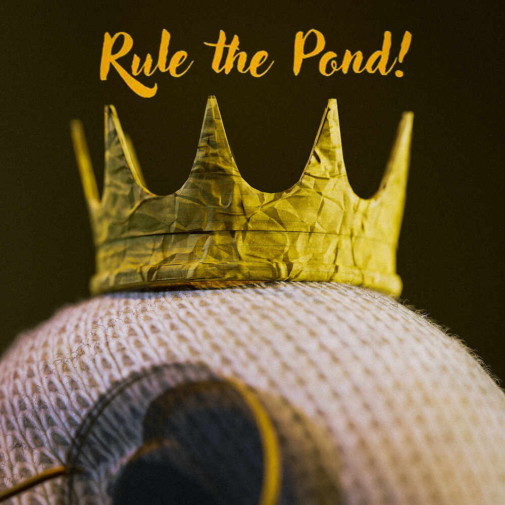 Crown with text