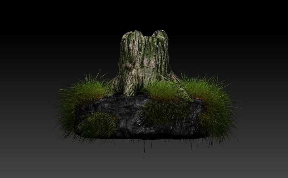 tree trunk 2