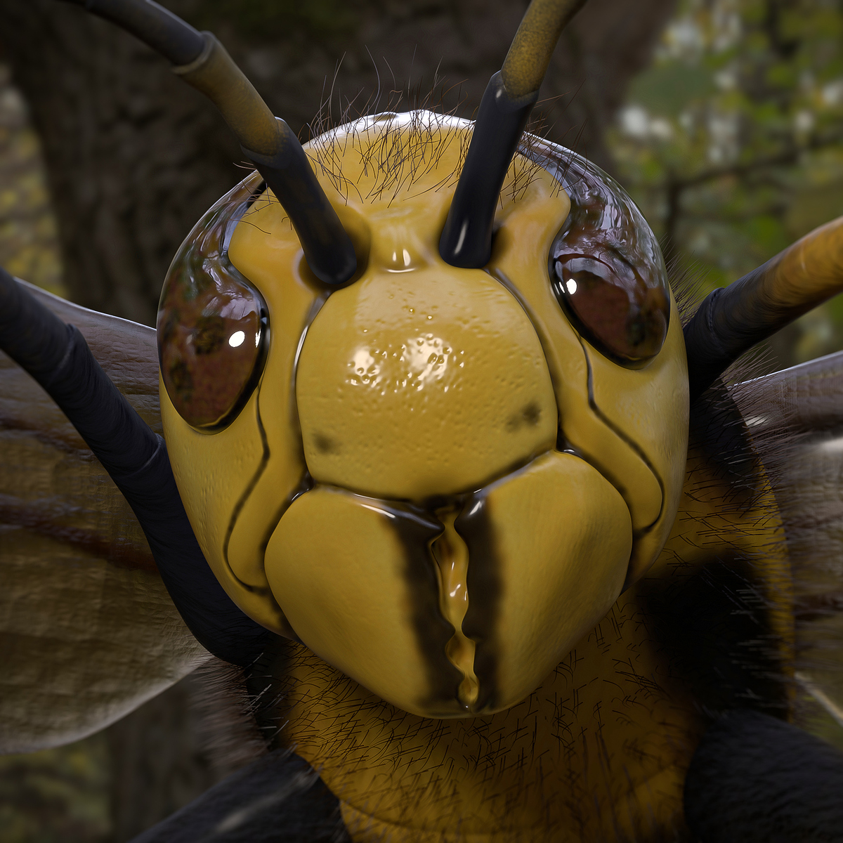 RENDER2